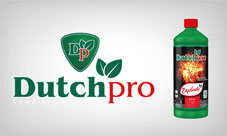 DutchPro