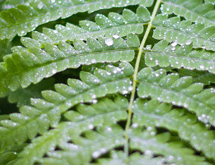 Reduce (or increase) humidity when growing indoors - Reduce (or increase) humidity when growing indoors