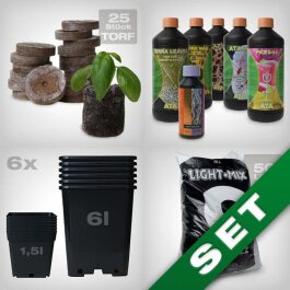 Starter Grow Kit, soil, mineral-based