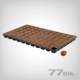 Eazy Plug, Propagation Cubes, 77 pcs.