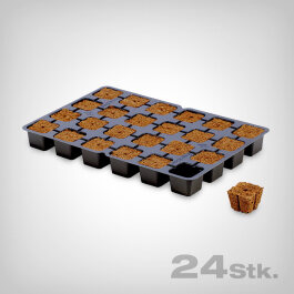 Eazy Plug, Propagation Cubes, 24 pcs.