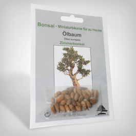 Plant seeds, Bonsai - Olive