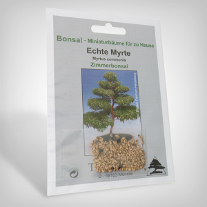 Plant seeds, Bonsai - Myrtle