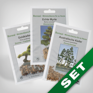 Bonsai Seed Set, Outdoor