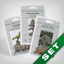 Bonsai Seed Set, Indoor Classics