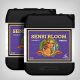 Advanced Nutrients pH Perfect Sensi Bloom A und B, 2x5 Litres