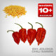 Bih Jolokia Chilli Seeds, 10 pcs.