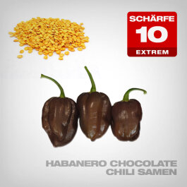 Habanero Chocolate Chilli Seeds, 10 pcs.
