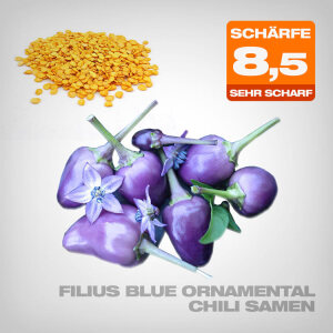 Filius Blue Ornamental Chilli Seeds, 10 pcs.