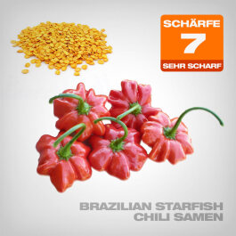 Brazilian Starfish Chilli Seeds, 10 pcs.