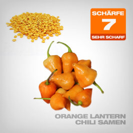 Orange Lantern Chilli Seeds, 10 pcs.
