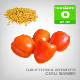 California Wonder Chilli Seeds, 10 pcs.