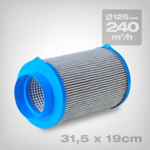 CarbonActive Homeline 300Z m³/h, 125 mm