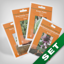 Plant Seed Set Culinary Herbs