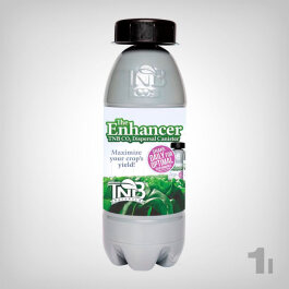 The Enhancer CO2