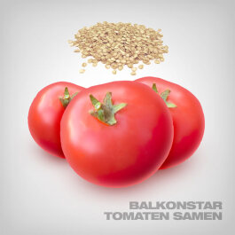 Balkonstar Tomato Seeds, 10 pcs.