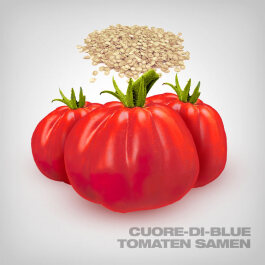 Cuore di Bue Tomato Seeds, 10 pcs.