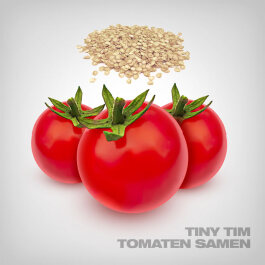 Tiny Tim Tomato Seeds, 10 pcs.