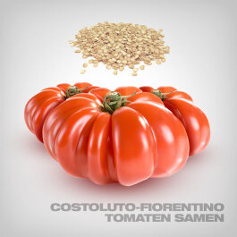 Costoluto Fiorentino Tomato Seeds, 10 pcs.