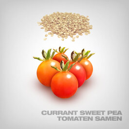 Currant Sweet Pea Tomato Seeds, 10 pcs.