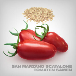 San Marzano Scatalone Tomato Seeds, 10 pcs.