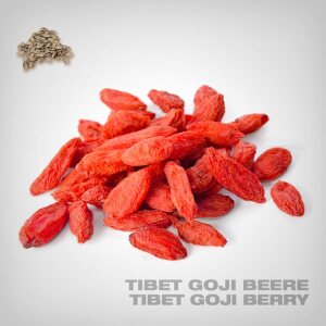 Plant Seeds, Tibet Goji Berry