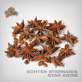 Plant Seeds, Star Anise