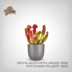 Plant Seeds, Purple Pitcher Plant & Yellow Pitcher Plant Mix