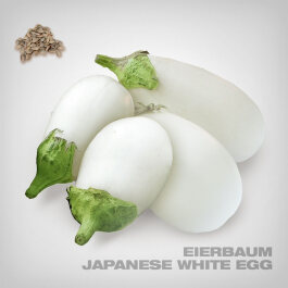 Plant Seeds, Japanese White Egg