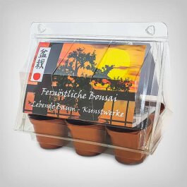 Exotic Plant Propagation Kit, Bonsai - Far East