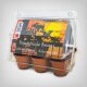 Exotic Plant Propagation Kit, Bonsai - Far East