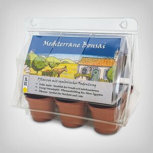 Exotic Plant Propagation Kit, Bonsai - Mediterranean
