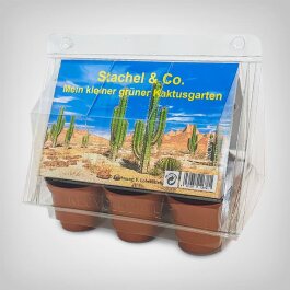 Exotic Plant Propagation Kit, Cactus - Spike & Co.