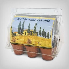 Exotic Plant Propagation Kit, Mediterranean Dreams