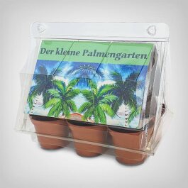 Exotic Plant Propagation Kit, Palm Garden