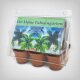 Exotic Plant Propagation Kit, Palm Garden