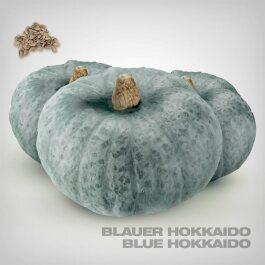 Pumpkin Seeds, Blue Hokkaido