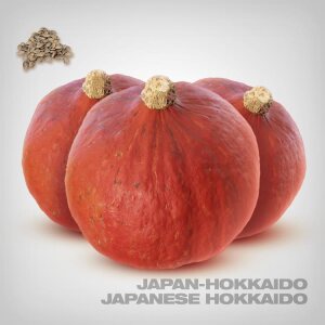 Pumpkin Seeds, Japanese Hokkaido
