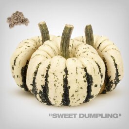 Pumpkin Seeds, Sweet Dumpling