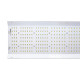 hortiONE 600 LED incl. Driver, 220W