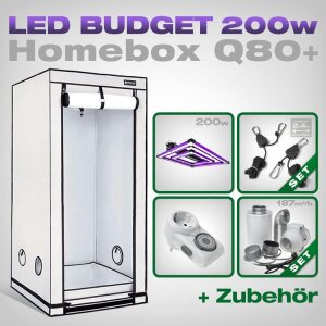 HOMEbox Q80+ LED Grow Set + 1x Lumatek ATS Pro 200W