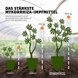 Dynomyco Mycorrhizae, 200g