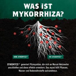 Dynomyco Mycorrhizae, 750g