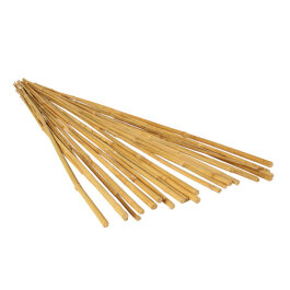 Bamboo Stick Plant Support, 90cm, 25 pcs.