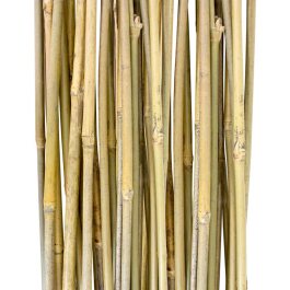 Bamboo Stick Plant Support, 120cm, 25 pcs.
