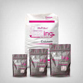 Green House Powder Feeding Calcium 500g-25kg