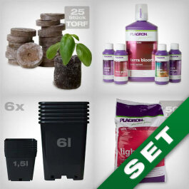 Starter Grow Kit, soil, Plagron