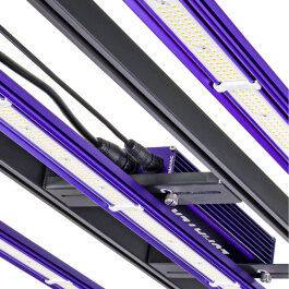 Lumatek ZEUS 300W PRO LED 3.1