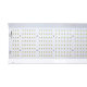 hortiONE 600 LED incl. Driver, 220W