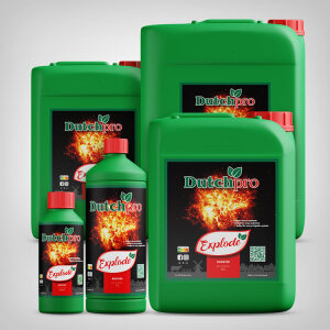 DutchPro Explode, 250ml-20l